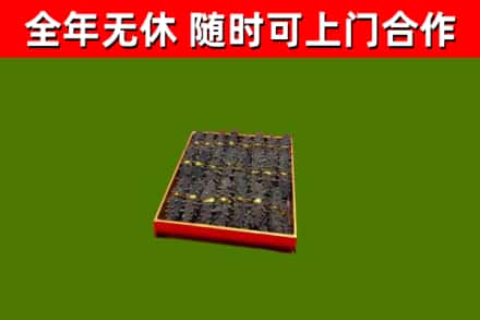 若羌烟酒回收海参.jpg